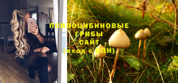 MDMA Premium VHQ Зеленокумск
