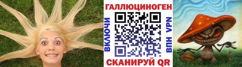 дарк нет как зайти  Новоалтайск  Псилоцибиновые грибы Psilocybine cubensis  хочу наркоту 