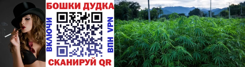 Марихуана OG Kush  Новоалтайск 